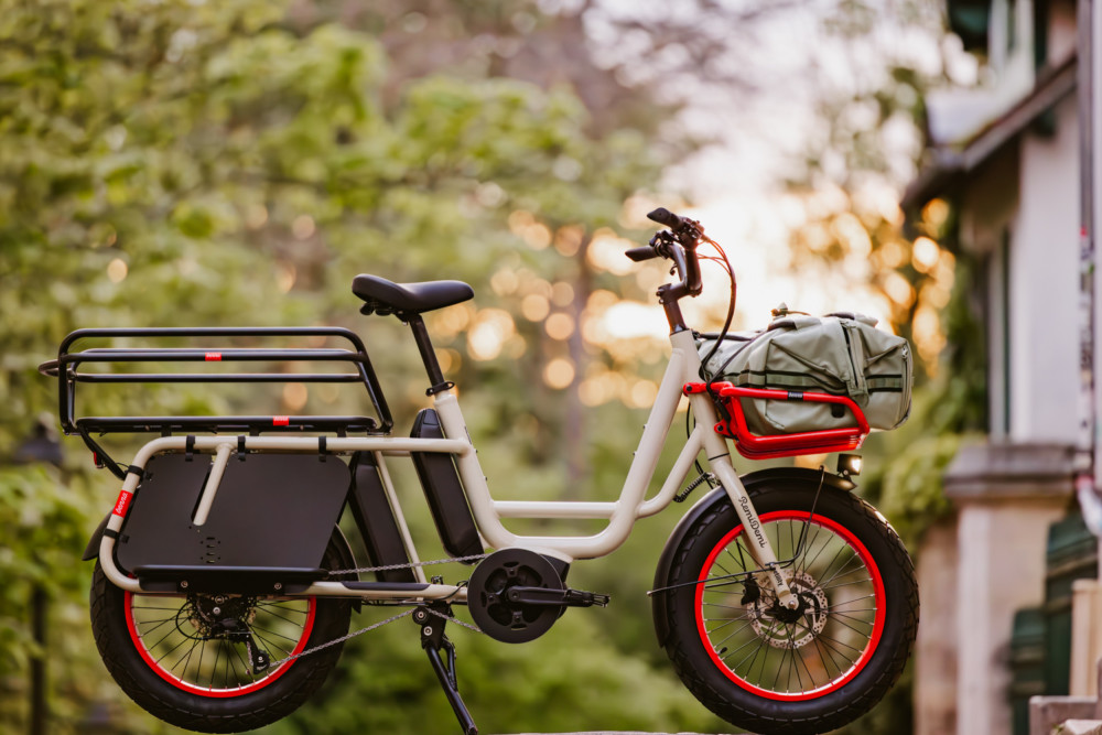 Benno Bikes RemiDemi XL